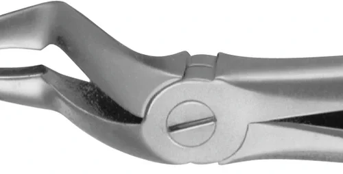 Anatomica-tenger etter Kaiser