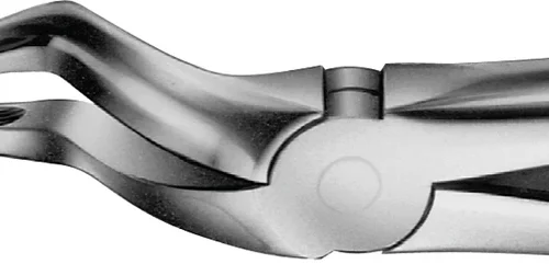 Anatomica-tanntenger