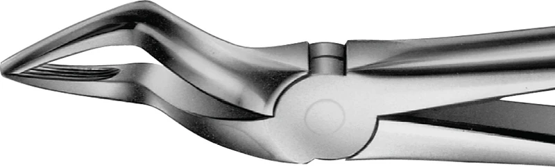 Anatomica-tanntenger