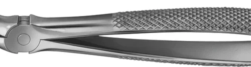 Anatomica-tanntenger