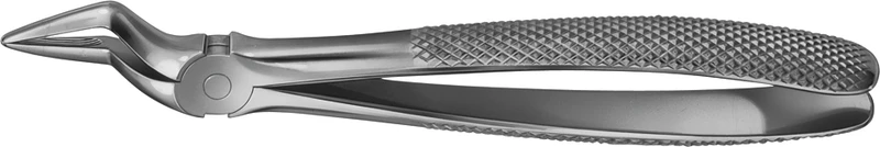 Anatomica-tanntenger