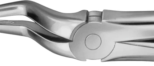 Anatomica-tanntenger