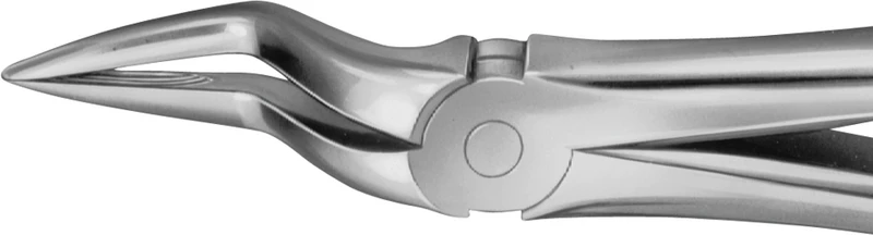 Anatomica-tanntenger