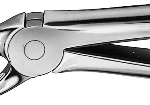 Anatomica-tanntenger