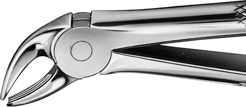 Anatomica-tanntenger