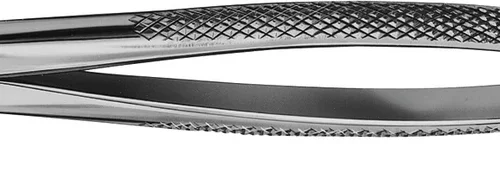 Anatomica-tanntenger