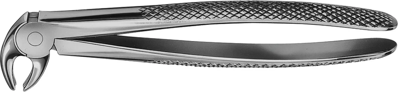 Anatomica-tanntenger