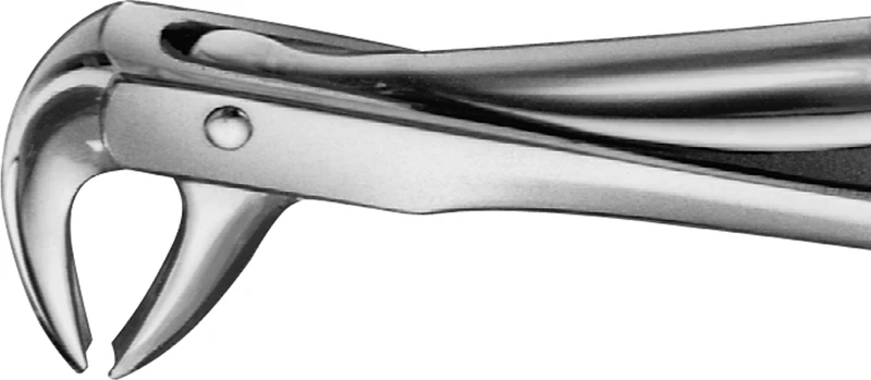 Anatomica-tanntenger