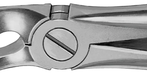 Anatomica-tanntenger