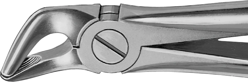 Anatomica-tanntenger