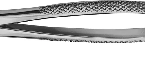 Anatomica-tanntenger