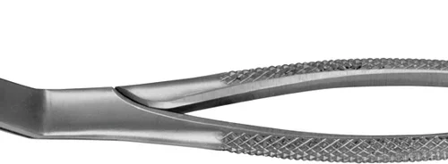 Anatomica-tenger etter Routurier