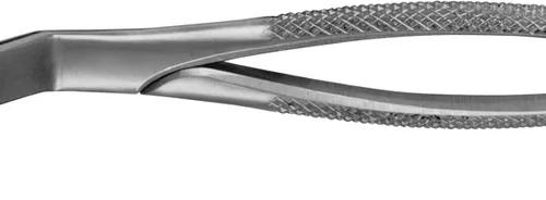 Anatomica-tenger etter Routurier