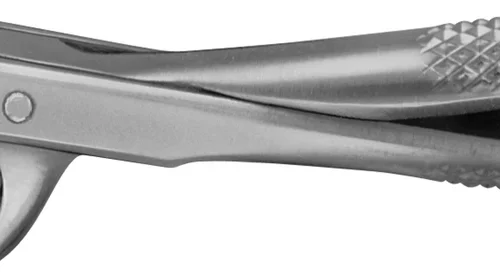 Anatomica-tanntenger