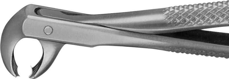 Anatomica-tanntenger