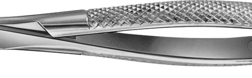 Anatomica-tanntenger