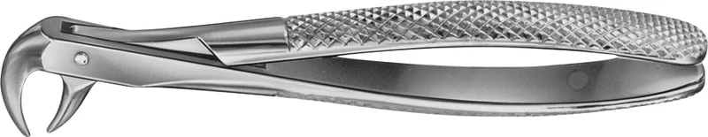 Anatomica-tanntenger