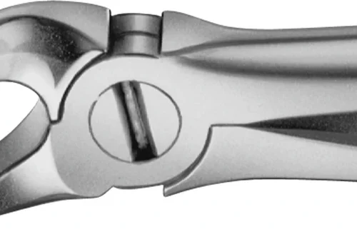 Anatomica-tanntenger