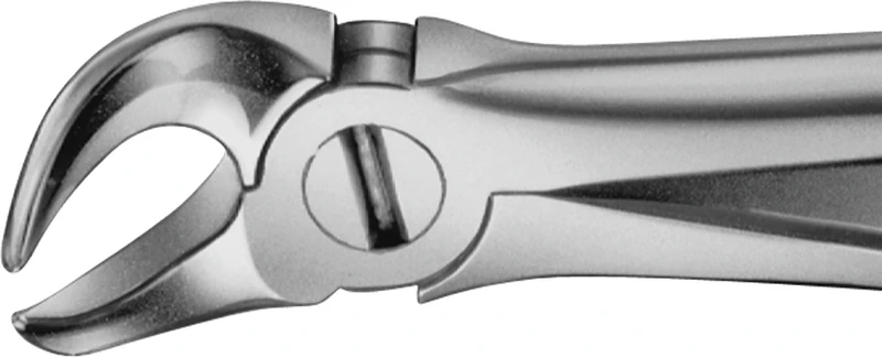 Anatomica-tanntenger