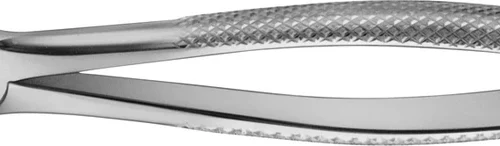 Anatomica-tanntenger