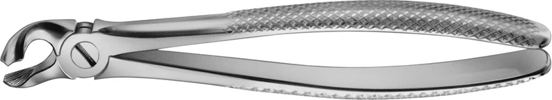 Anatomica-tanntenger