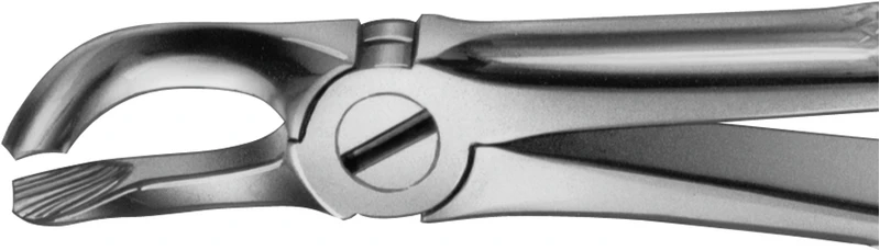 Anatomica-tanntenger