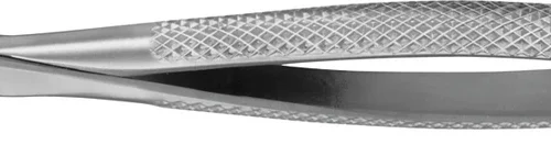 Anatomica-tanntenger