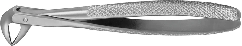 Anatomica-tanntenger