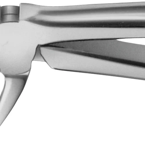 Anatomica-tanntang etter Feiner