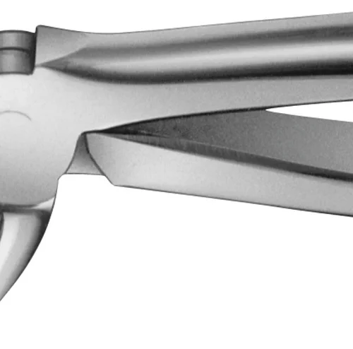 Anatomica-tanntenger