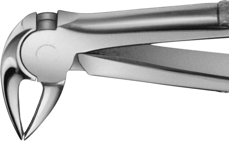 Anatomica-tanntenger