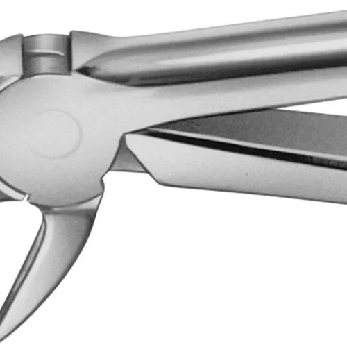 Anatomica-tanntenger