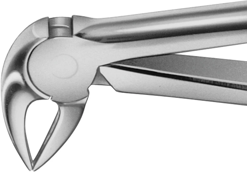 Anatomica-tanntenger