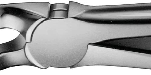 Anatomica-tanntenger