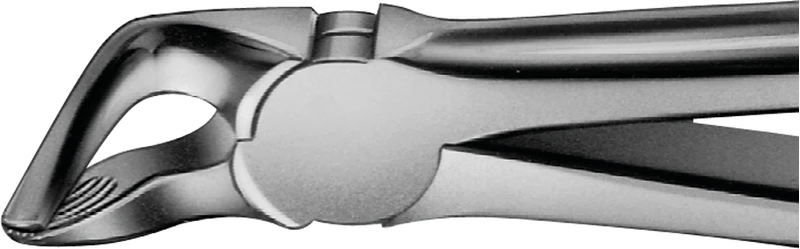 Anatomica-tanntenger