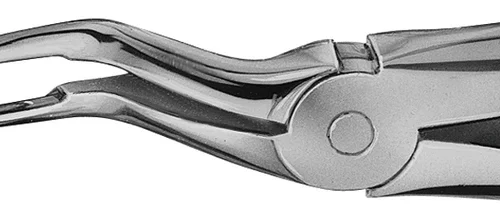 Anatomica-tanntenger