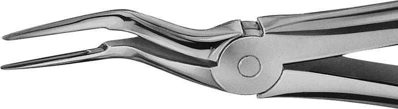 Anatomica-tanntenger