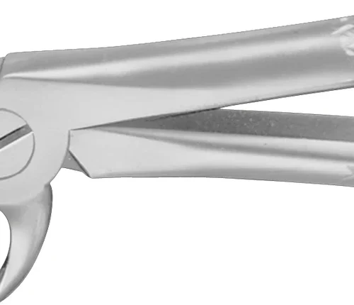 Barne-tang etter Gray