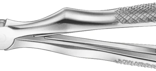 Barne-tang etter Klein