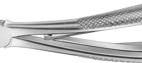 Barne-tang etter Schmidt