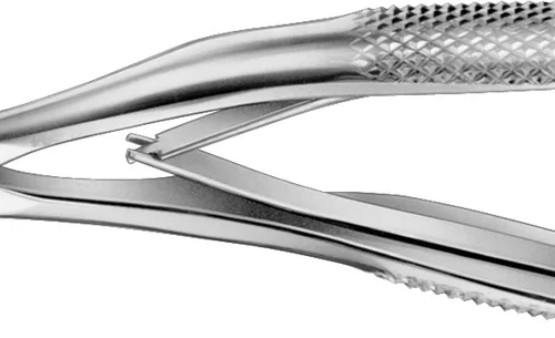 Barne-tang etter Klein