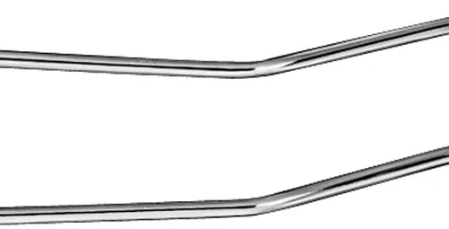 kinnholder etter Sternberg