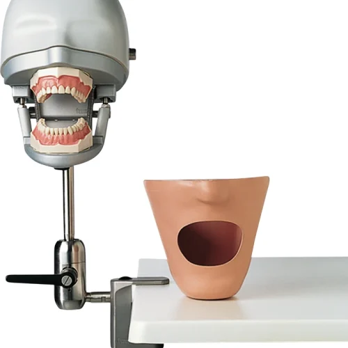 tanntreningsenhet P-6/3 PT