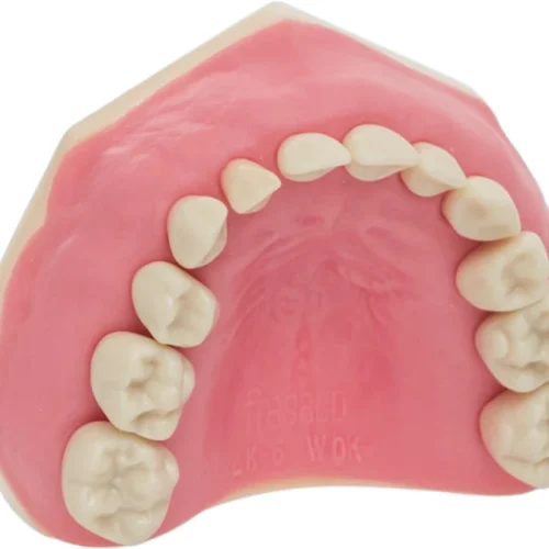 Barnetannmodell AK-6