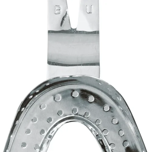 Ehricke avtrykksskje