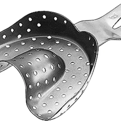 Ehricke avtrykksskje