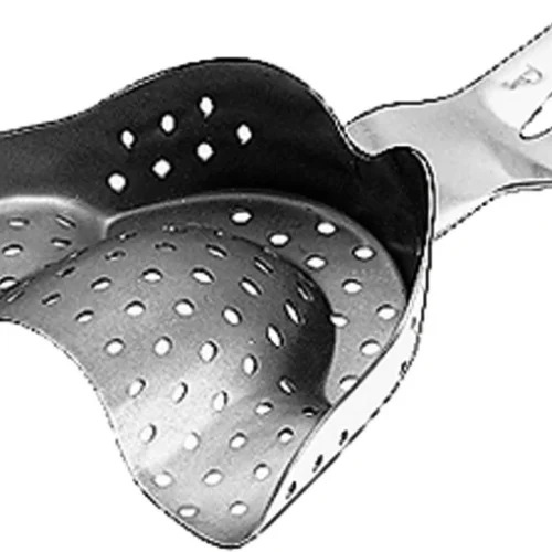 Ehricke avtrykksskje