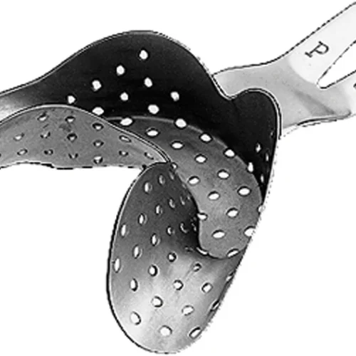 Ehricke avtrykksskje