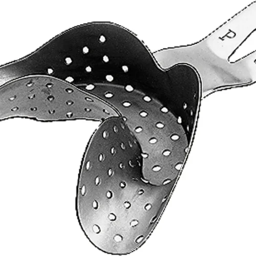 Ehricke avtrykksskje