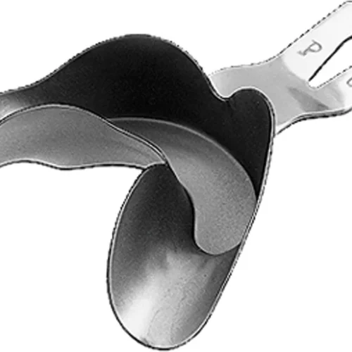 Avtrykkskje etter Ehricke